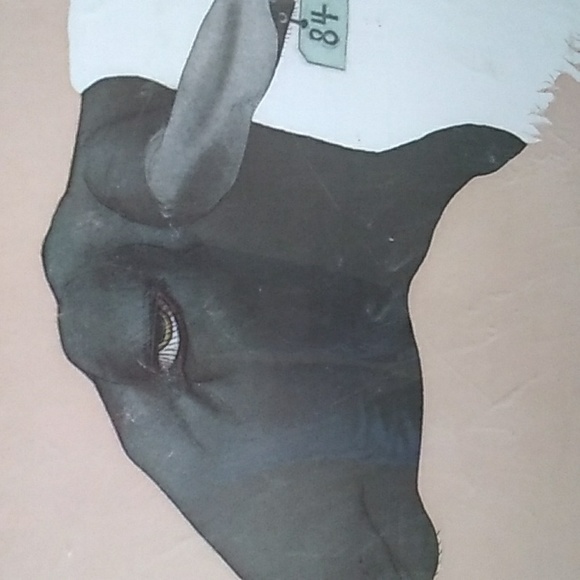 BETH VAN HOESEN Framed Art Ewe #84 - Picture 3 of 16